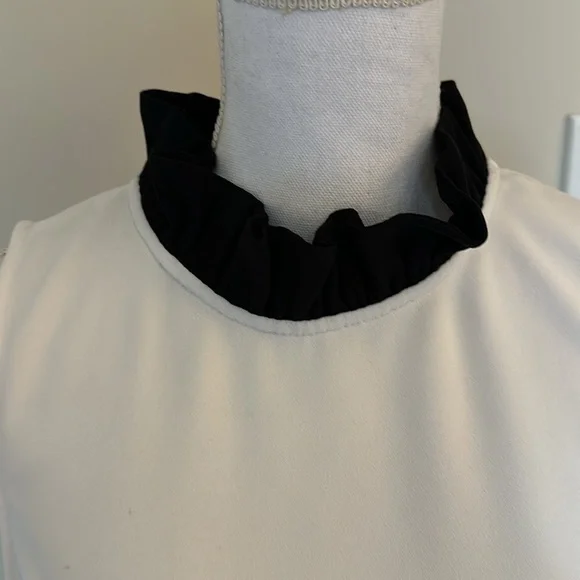 Classic Shell - Picture 2 of 5